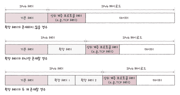 IPv6의 다음 헤더